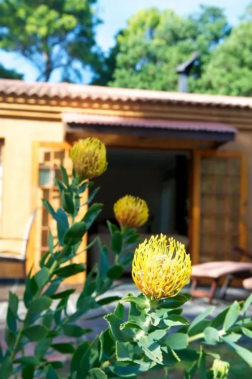 Cap Serein Guest House ケープタウン 南アフリカ
